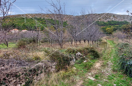 opereta_carousel_photo_8