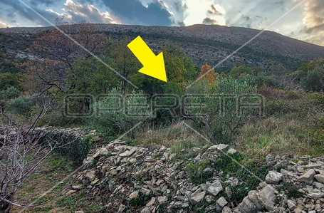 opereta_carousel_photo_8