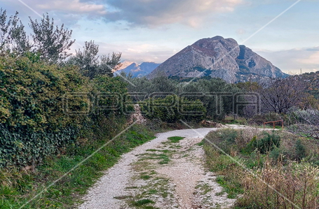 opereta_carousel_photo_2