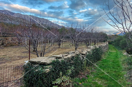 opereta_carousel_photo_5