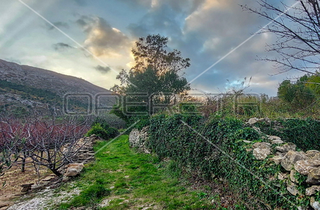 opereta_carousel_photo_4