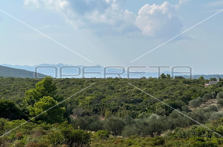 opereta_carousel_photo_4