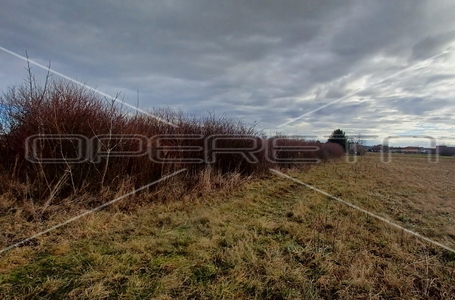 opereta_carousel_photo_4