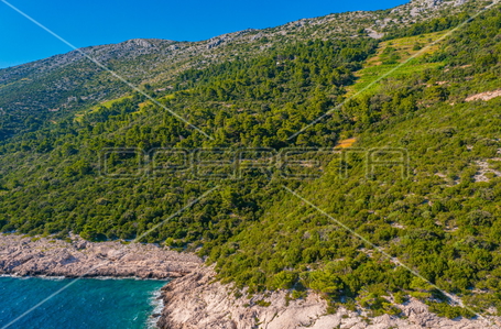 opereta_carousel_photo_3