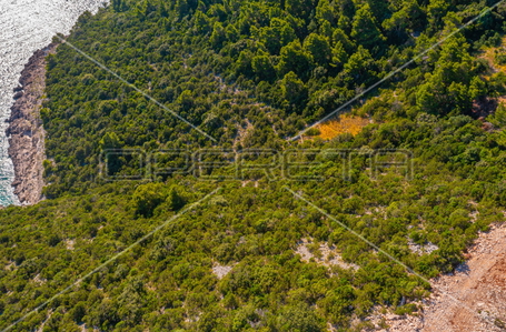 opereta_carousel_photo_4