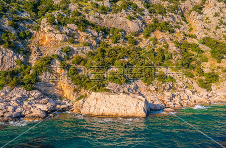 opereta_carousel_photo_8