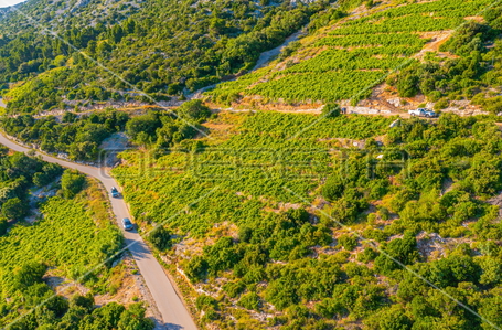 opereta_carousel_photo_2