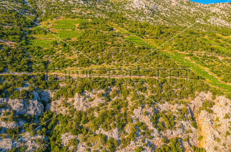 opereta_carousel_photo_4