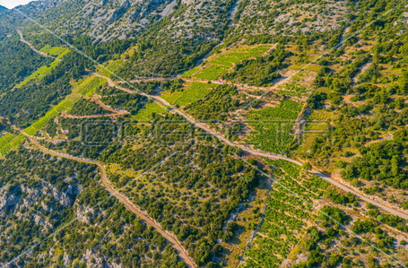 opereta_carousel_photo_5