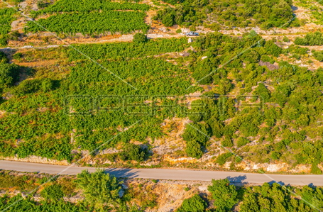 opereta_carousel_photo_6