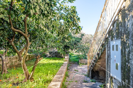 opereta_carousel_photo_7