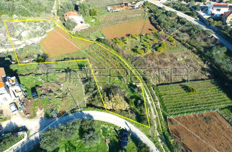 opereta_carousel_photo_4