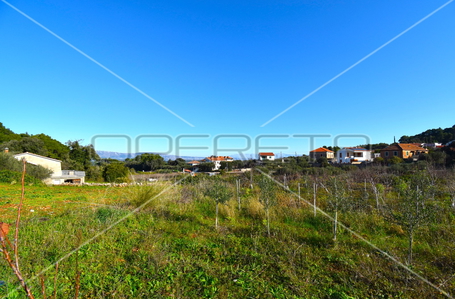 opereta_carousel_photo_6