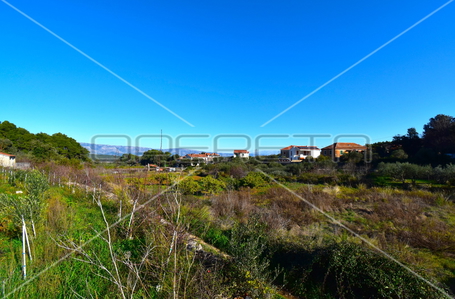 opereta_carousel_photo_8