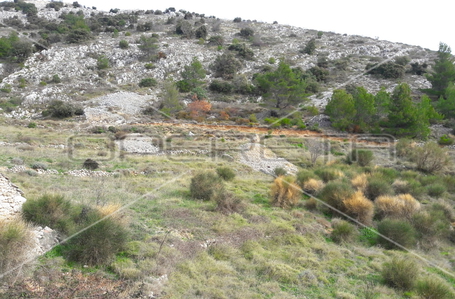 opereta_carousel_photo_3