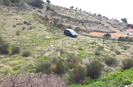 opereta_carousel_photo_4