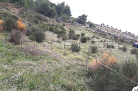 opereta_carousel_photo_6