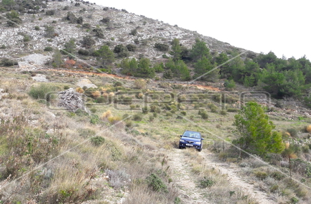 opereta_carousel_photo_7