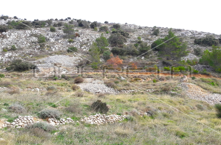 opereta_carousel_photo_8