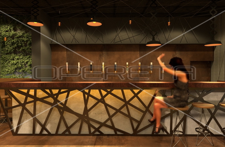 opereta_carousel_photo_6