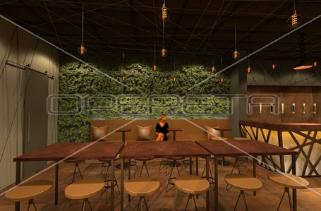 opereta_carousel_photo_5