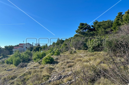 opereta_carousel_photo_7