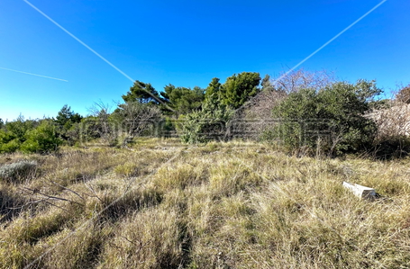 opereta_carousel_photo_9