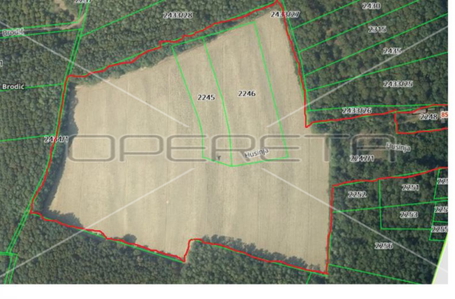 opereta_carousel_photo_5