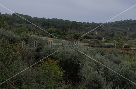 opereta_carousel_photo_4