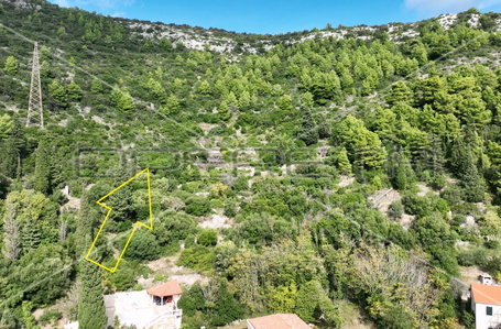 opereta_carousel_photo_5