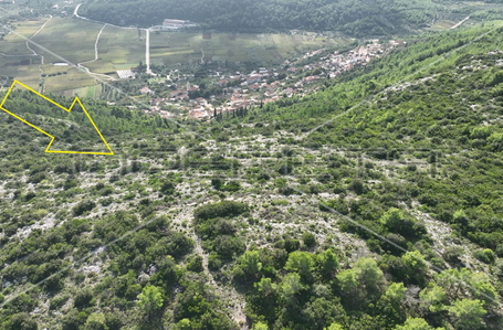 opereta_carousel_photo_6