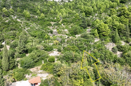 opereta_carousel_photo_7