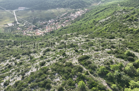 opereta_carousel_photo_8