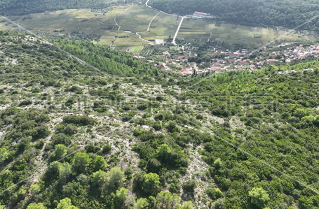 opereta_carousel_photo_9