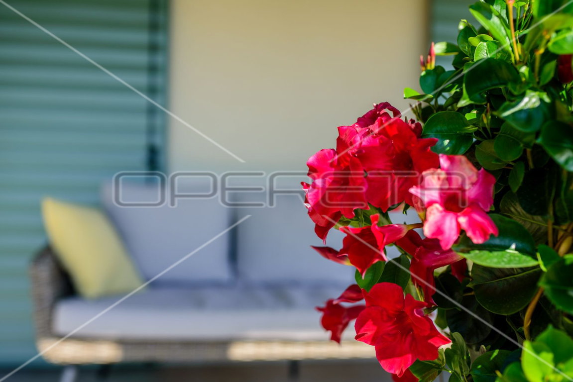 OPERETA 429406