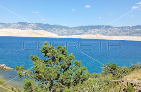 opereta_carousel_photo_2