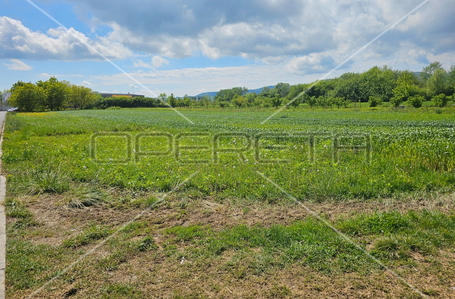 opereta_carousel_photo_7