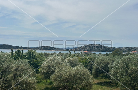 opereta_carousel_photo_6