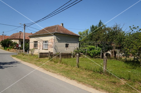 opereta_carousel_photo_5