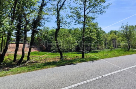 opereta_carousel_photo_2