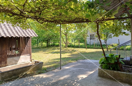 opereta_carousel_photo_9