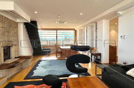 opereta_carousel_photo_3