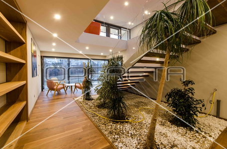 opereta_carousel_photo_4