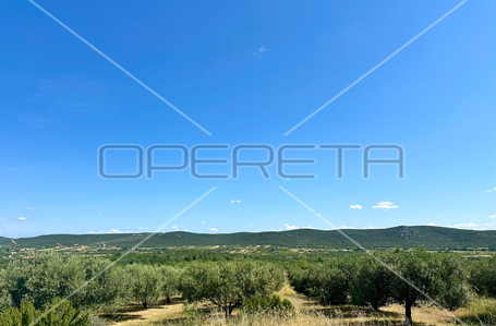 opereta_carousel_photo_6