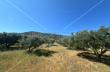 opereta_carousel_photo_3