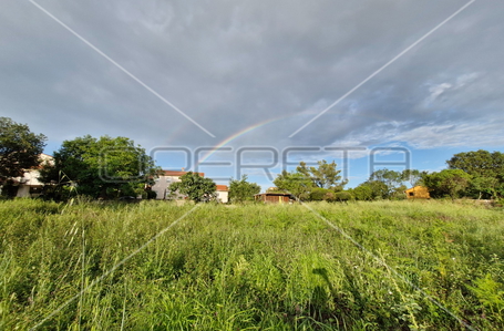 opereta_carousel_photo_2