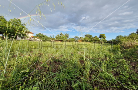 opereta_carousel_photo_3