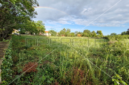 opereta_carousel_photo_4