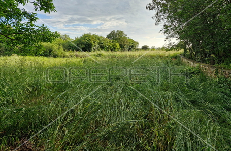 opereta_carousel_photo_6