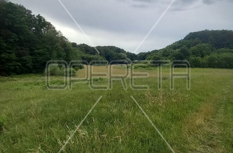 opereta_carousel_photo_7